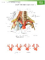 Sobotta Atlas of Human Anatomy  Head,Neck,Upper Limb Volume1 2006, page 160